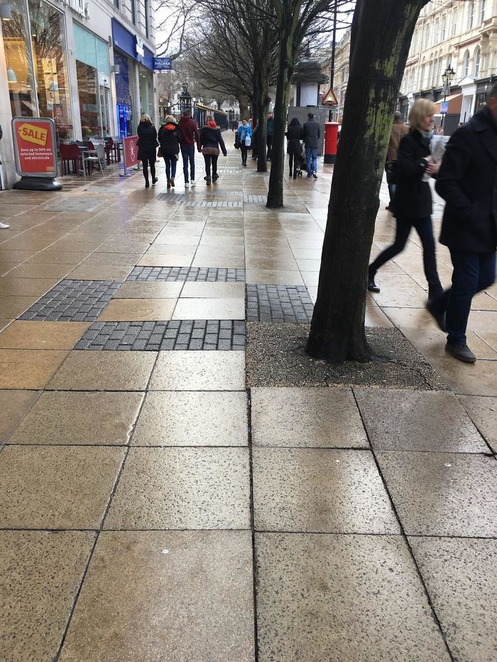 This Pattern In The Pathway Designed To Go Around The Planted Trees Is Instead Placed Just Outside The Trees