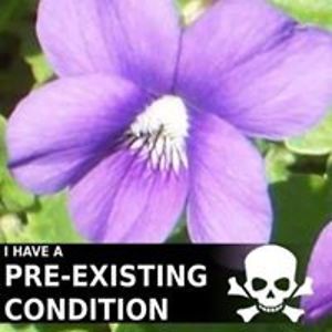 jennifer_matusiak avatar