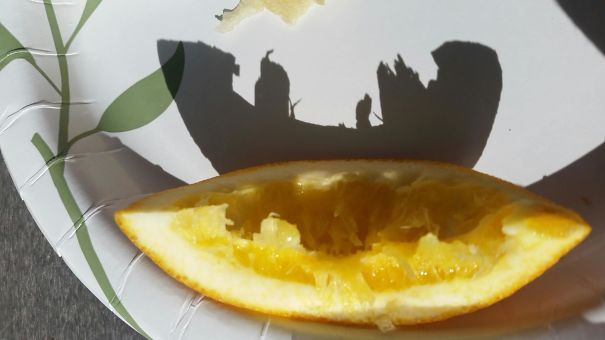 The Shadow From This Orange Slice Looks Like A Wasteland City Scape