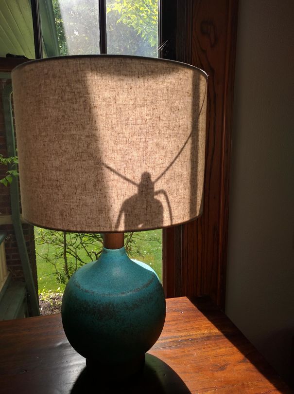The Shadow On This Lamp Looks Like A Bug