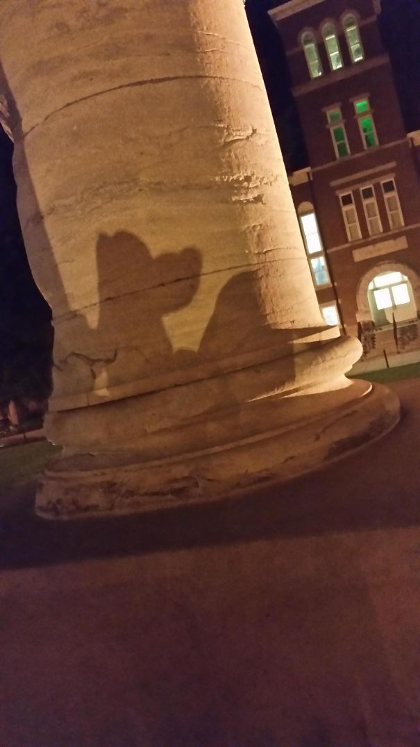 Anyone Else Think This Shadow Looks Like Pluto?