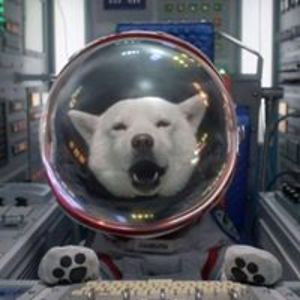 otonashi_saya avatar