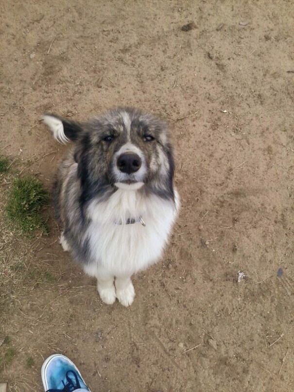 Caught Him In The Act Of Making Another Hole In The Ground. This Was His Reaction