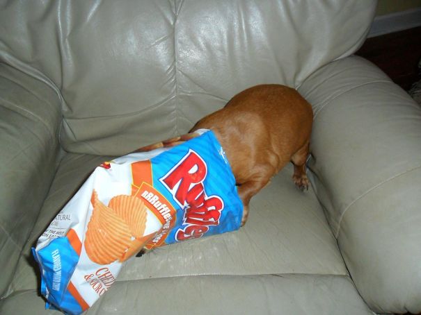 Caught Him In The Act