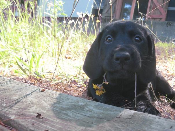 Caught Her Eating Flowers