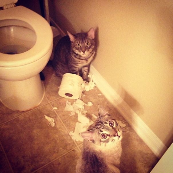 Caught You, Red-Handed