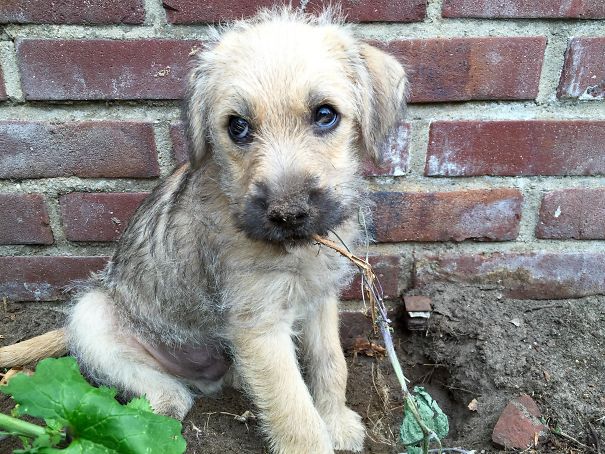 Vandal Caught In The Act