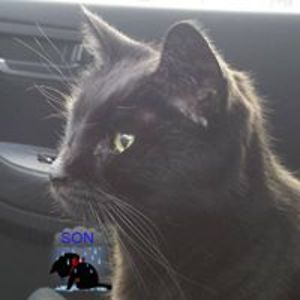 son4steamdoctor avatar