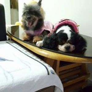 angiedanielle72 avatar