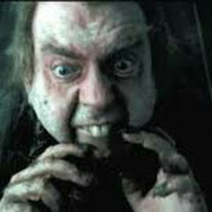 peterpettigrew avatar