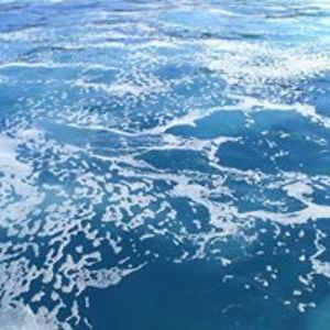 dana_sirbu_dixie avatar