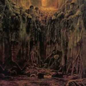 abdulmoizmehmood avatar