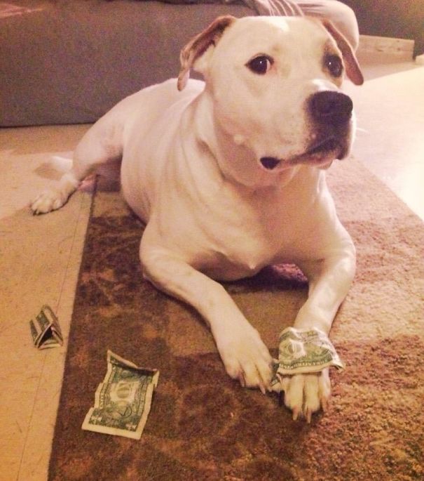 I Caught Him Stealing My Money