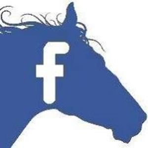 holdyourhorses avatar