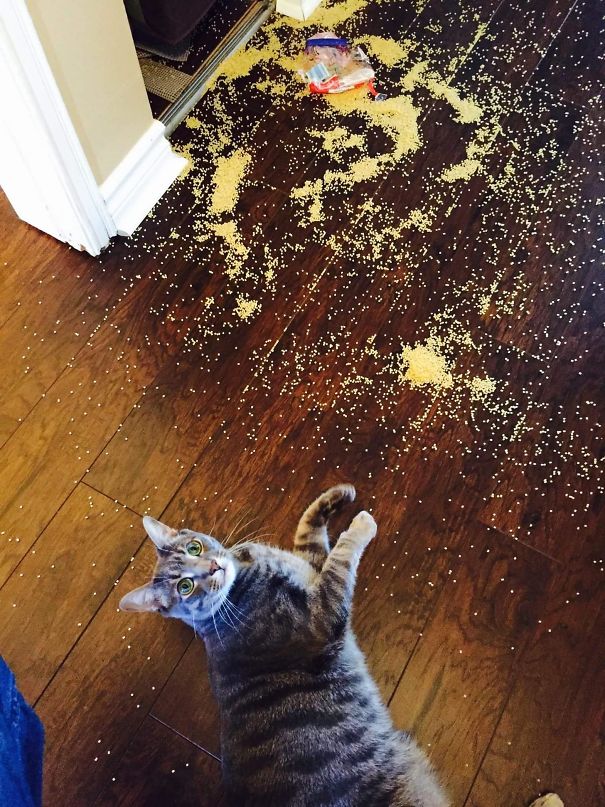 Colton, Caught Red Handed