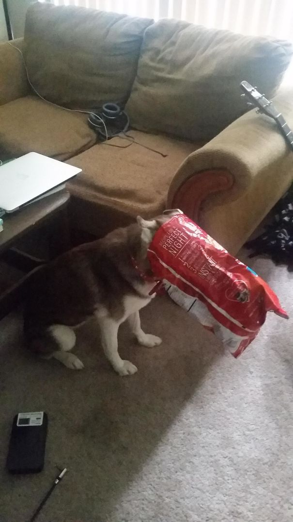 When You Catch Her In The Act And She Just Sits In Shame