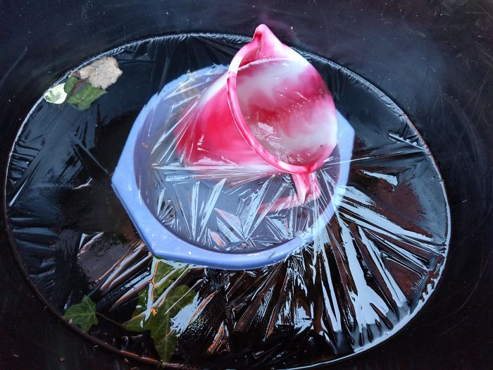 This Layer Of Ice Looks Like Cling Film