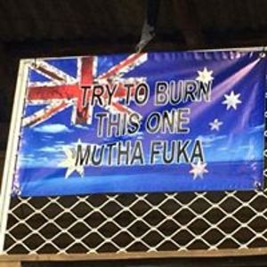 bob-snoopy-reed avatar