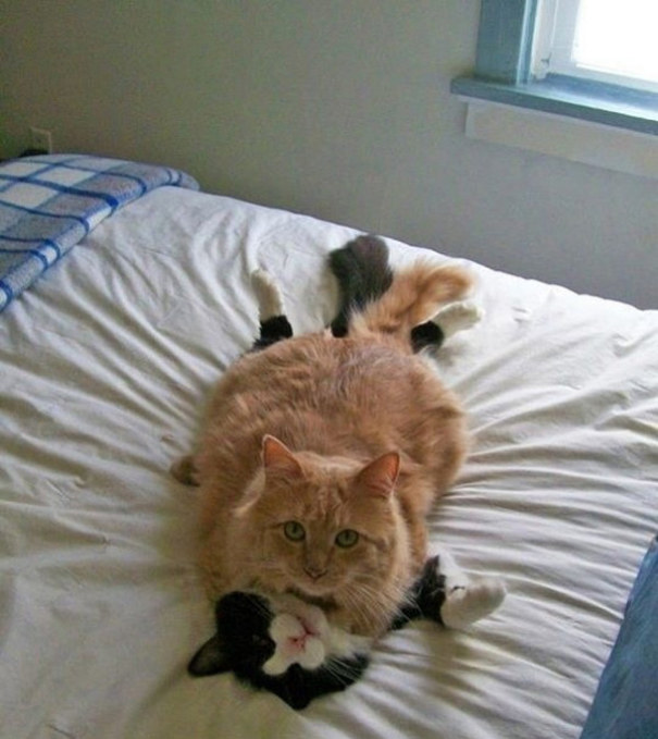 It's Not What It Looks Like