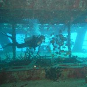 audreypartridge avatar