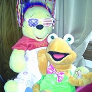 donna_scheerer avatar