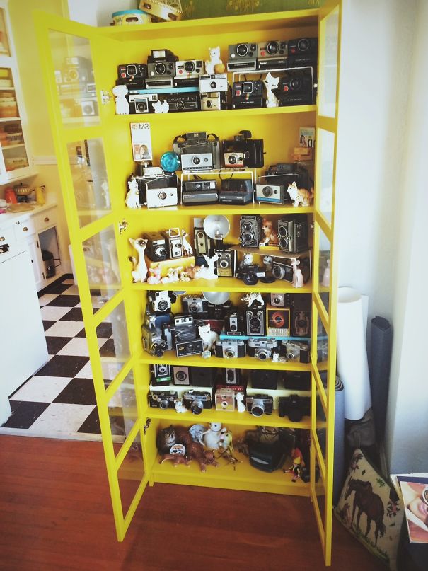 I Have Been Thrifting Cameras For A Few Years Now