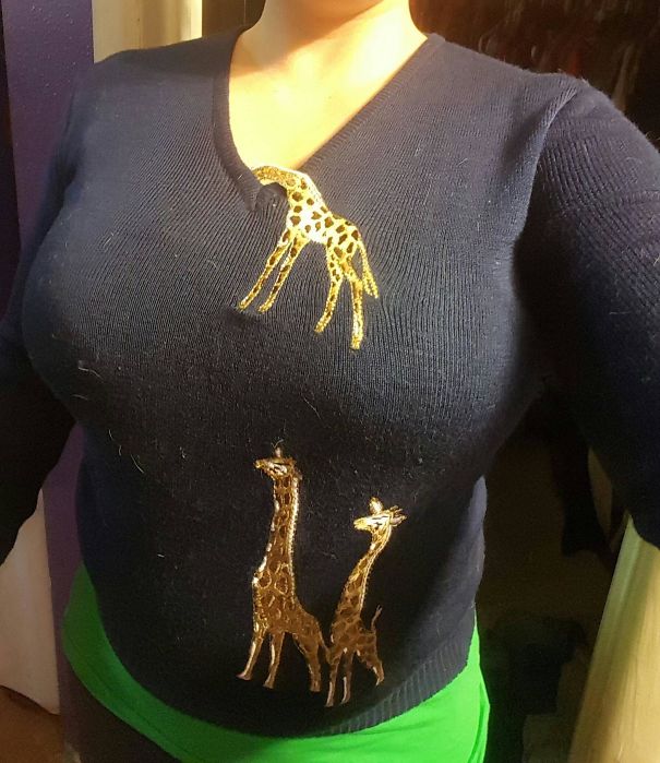 Found This Naughty Giraffe Sweater For 2 Bucks