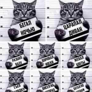 jakhongiryuldashevich avatar