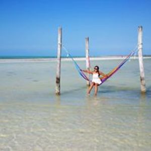 pilarberumen77 avatar