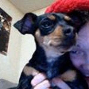 lucidc0nfusi0n avatar