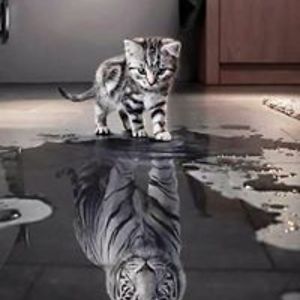 paul_sharrock avatar