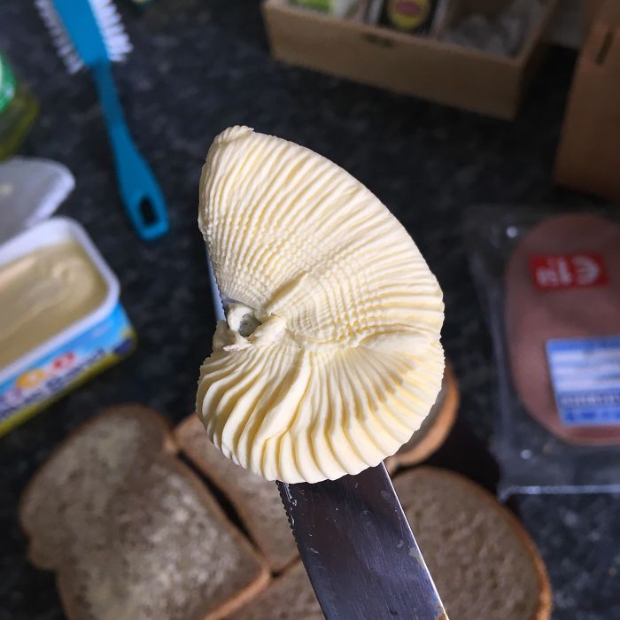 This Bit Of Butter Looks Like A Fossil