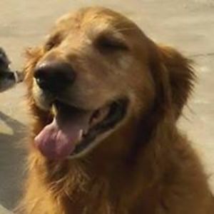 margie_arington avatar