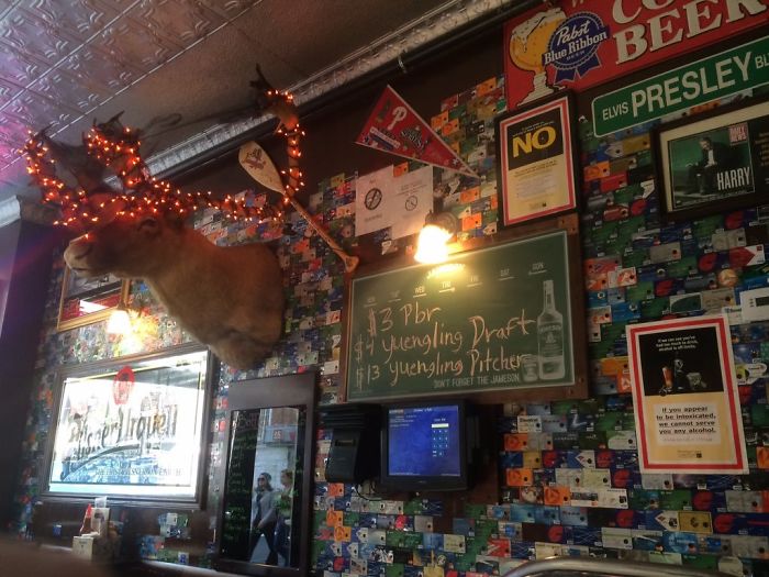 The Wall Of This Bar Is Covered With Credit Cards Forgotten By Drunkards Over The Years