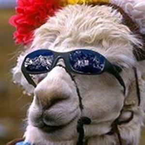 shannonmcgraw avatar