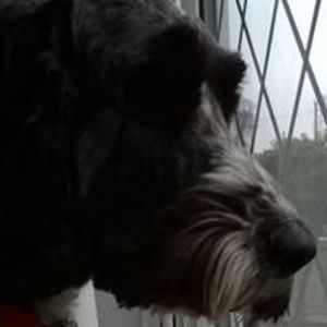 saucysaunders25 avatar