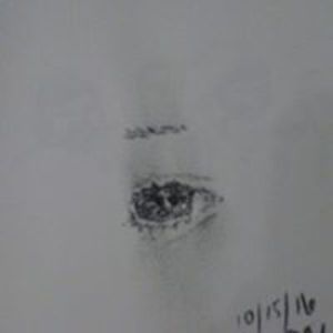 debsblueuniverse avatar