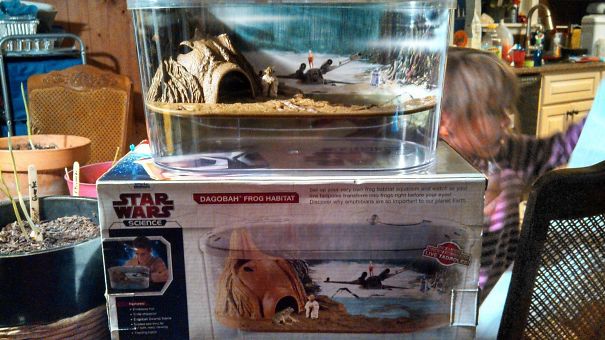 I Present Nib Dagobah Frog Habitat I Got For $5 At The Flea Market