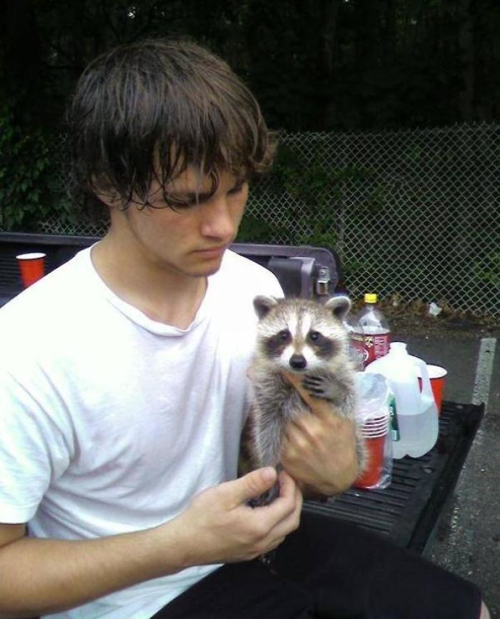 Adorable-cute-raccoons