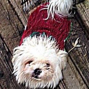 kristen_kuhns avatar