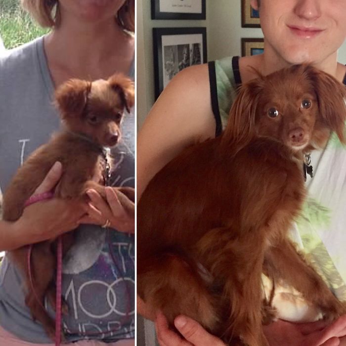 When We First Got Her And 2 Years Later...