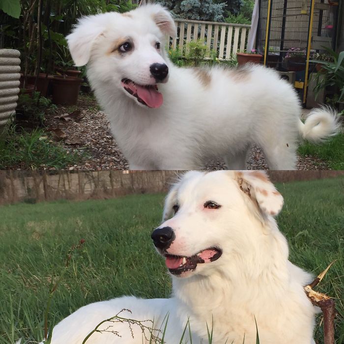 My Beautiful Alaska! 3 Months And 2 Years