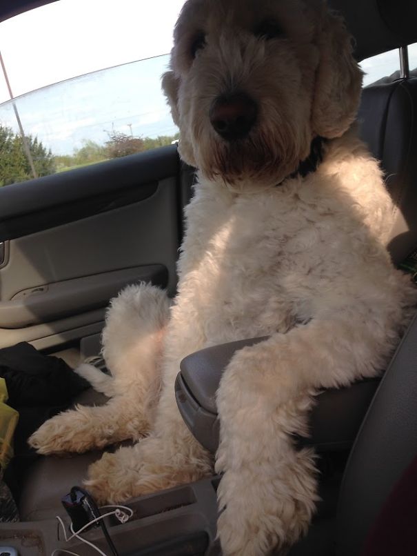 Let's Go For A Ride, Babe