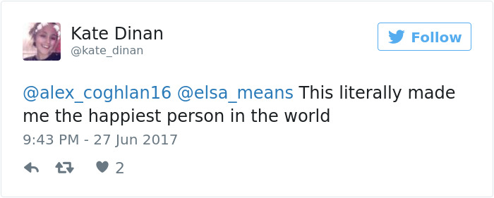 This Pregnant Dog Just Had A Maternity Photoshoot, And People Just Can't Handle It