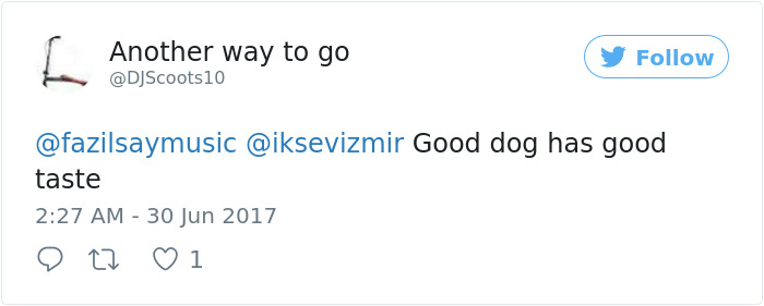 Dog Interrupts Orchestra Performance In Cutest Way Ever, Gets Rounds Of Applause