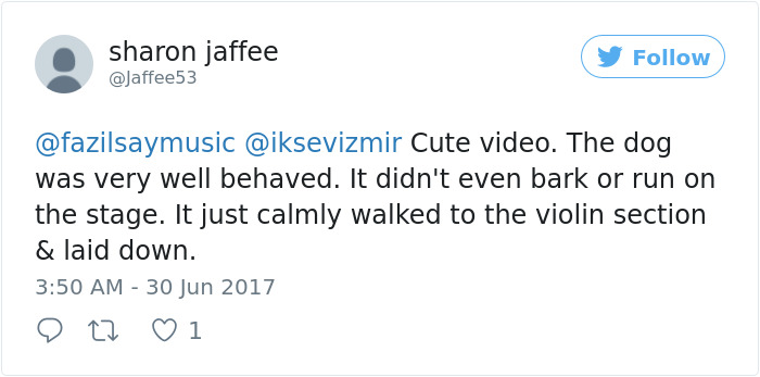 Dog Interrupts Orchestra Performance In Cutest Way Ever, Gets Rounds Of Applause