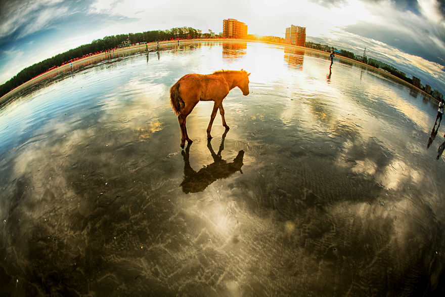 If Everything Were Round - Cox's Bazar Sea Beach, Bangladesh