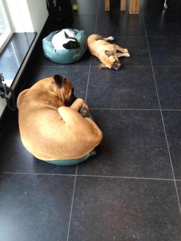 I Think I'll Fit In Your Bed...