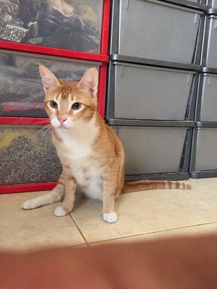 A One In A Million Meeting With A Lady With A Heart Of Gold