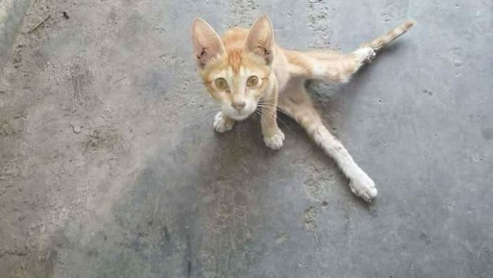 A One In A Million Meeting With A Lady With A Heart Of Gold